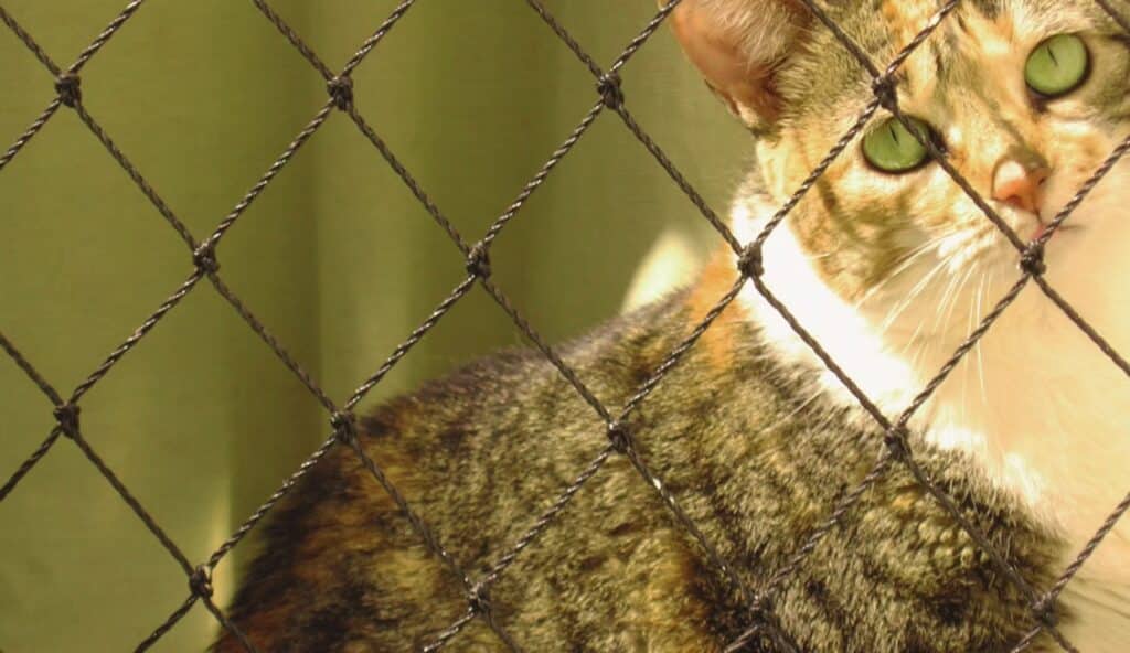 Imagem da secao sobre